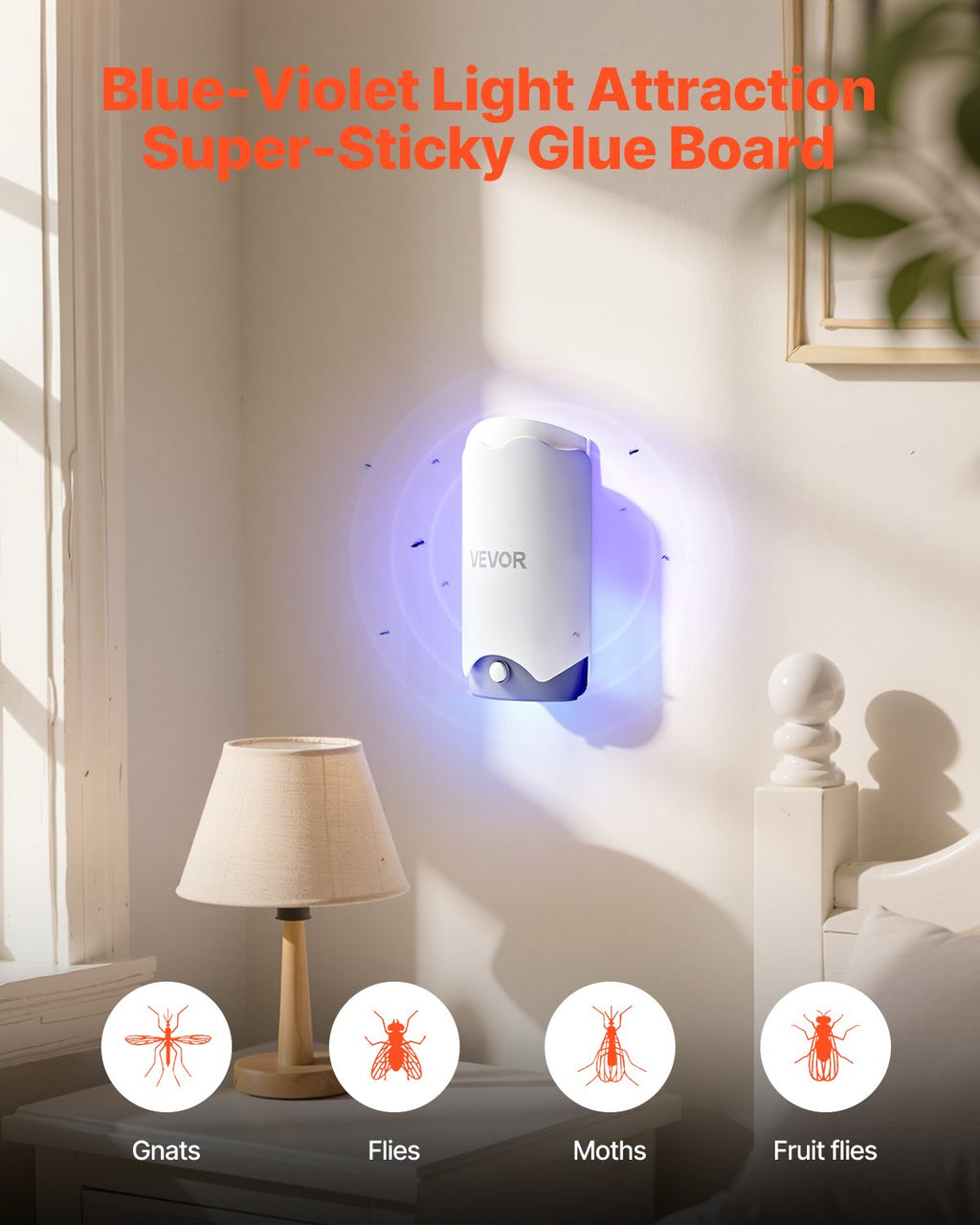 Plug-in Fly Trap - UV Light Gnat Killer with 10 Sticky Glue Boards